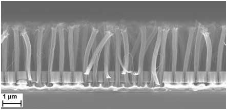 nanotubes