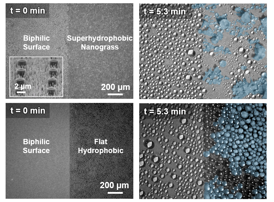 Anti-icing nanostructures on a surface prevent frost formation