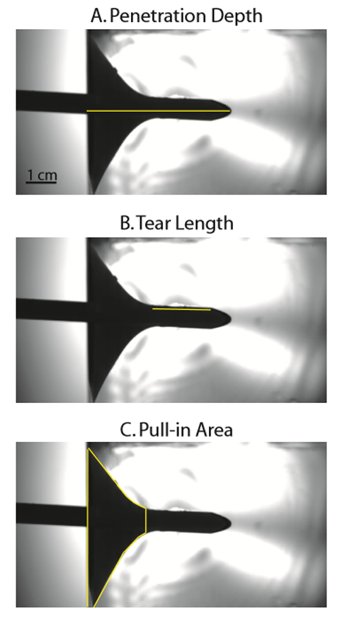 A series of frames detailing the different measures of damage, such as tear length and penetration depth.