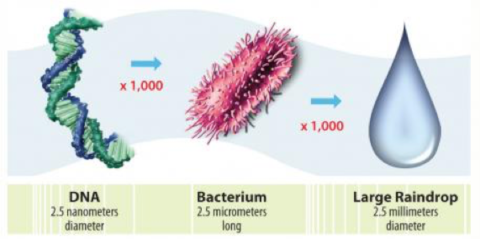 A strand of DNA is 2.5 nanometers in diameter. A bacterium is 2.5 micrometers long, 1000 times the size of DNA. A large raindrop is another factor of 1000 larger, coming in at 2.5 millimeters.