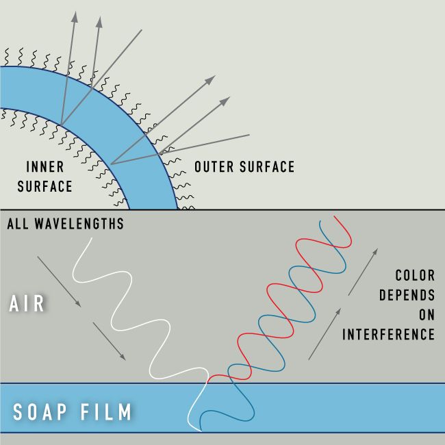 Light reflected from the surfaces of a soap bubble create its swirling colors.