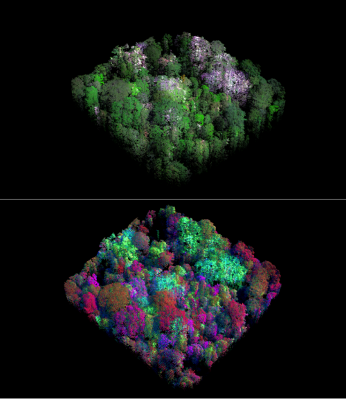 Naturally colored image and a color-coded imaged based on the spectral data. 