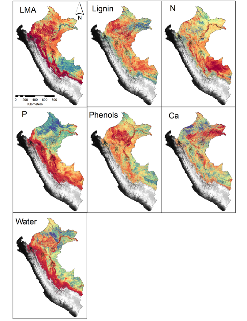 Seven forest canopy traits using data measured with the VSWIR spectrometer and environmental modeling (based on: geology, elevation, slope, hydrology, and the amount of sun striking a location) 