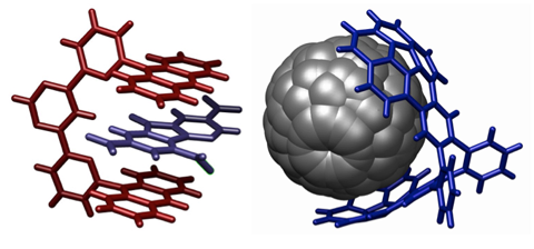 Molecular Tweezers