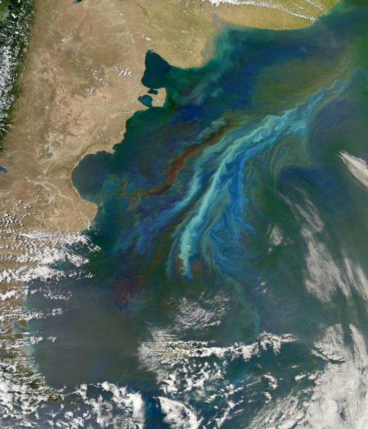 Satellites use chlorophyll's green color to detect biological activity in the oceans. In this image, lighter-green swirls mark a massive December 2010 plankton bloom following ocean currents off Patagonia, at the southern tip of South America.