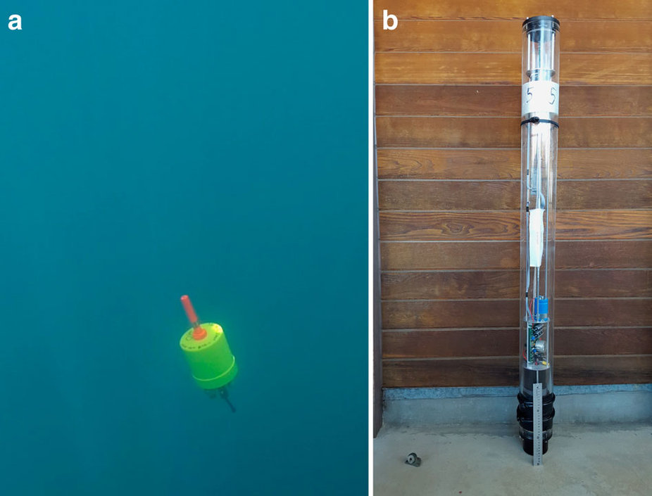 A Mini-Autonomous Underwater Explorer in the ocean, and a floating 