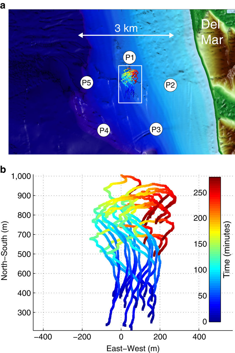 This image shows the locations of the 5 pingers (P1–P5) and the paths of 16 M-AUEs during the 5-hour deployment. Each trajectory is colored according to the time since deployment, ranging from blue to red. 