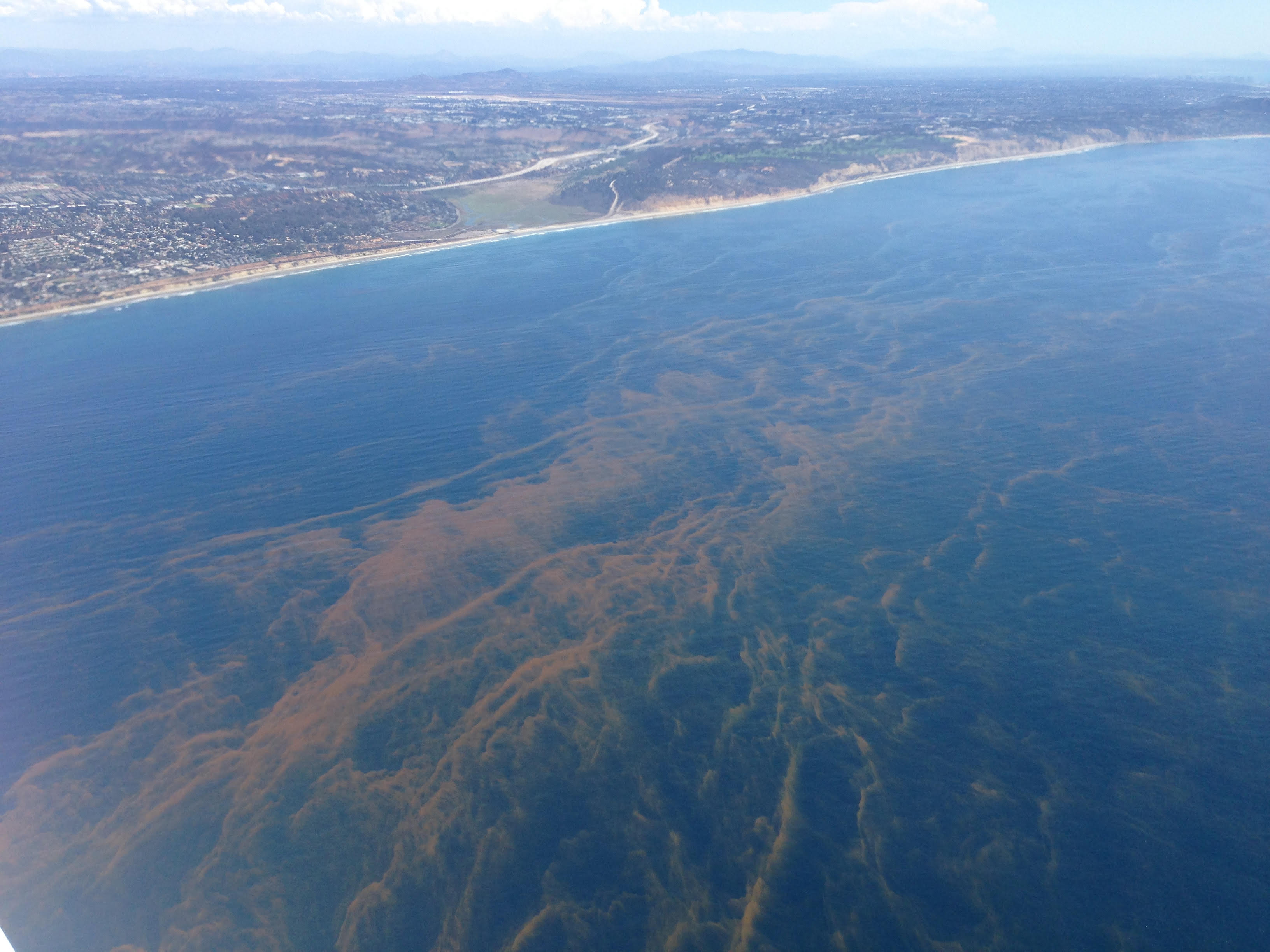 This photograph was taken looking southeast toward San Diego, CA, at the location of the study. The patterns in the water are bands of phytoplankton that formed during a red tide.