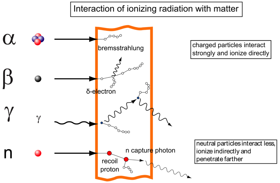 The various types of radiation interacting with matter, alpha, beta, gamma, and neutron