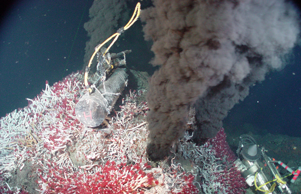 A hydrothermal vent at the ocean floor is surrounded by a mat of strange-looking tube worms.